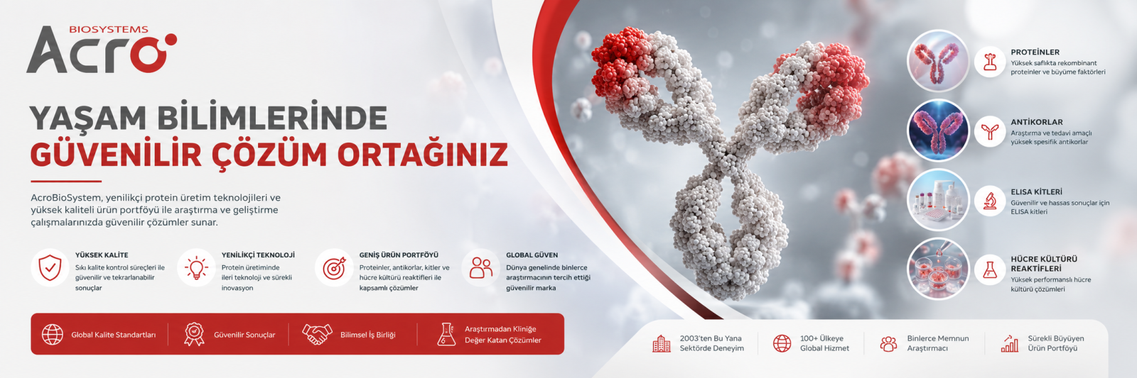 ACROBiosystems, ACROBiosystems Türkiye, ACROBiosystems ürünleri, rekombinant proteinler, rekombinant insan proteinleri, sitokinler, büyüme faktörleri, bağışıklık kontrol noktası proteinleri, antikorlar, füzyon proteinleri, biyotin işaretli proteinler, protein araştırma ürünleri, hücre ve gen tedavisi ürünleri, immünoloji araştırma ürünleri, kanser araştırma ürünleri, ilaç keşfi ürünleri, biyofarmasötik araştırma ürünleri, protein üretimi,,ACROBiosystems ürünleri Türkiye rekombinant protein rekombinant sitokinler büyüme faktörleri bağışıklık kontrol noktası proteinleri antikor ürünleri füzyon proteinleri biyotin işaretli proteinler protein araştırma ürünleri immünoloji ürünleri kanser araştırma ürünleri hücre ve gen tedavisi biyofarmasötik araştırma ilaç keşfi proteinleri