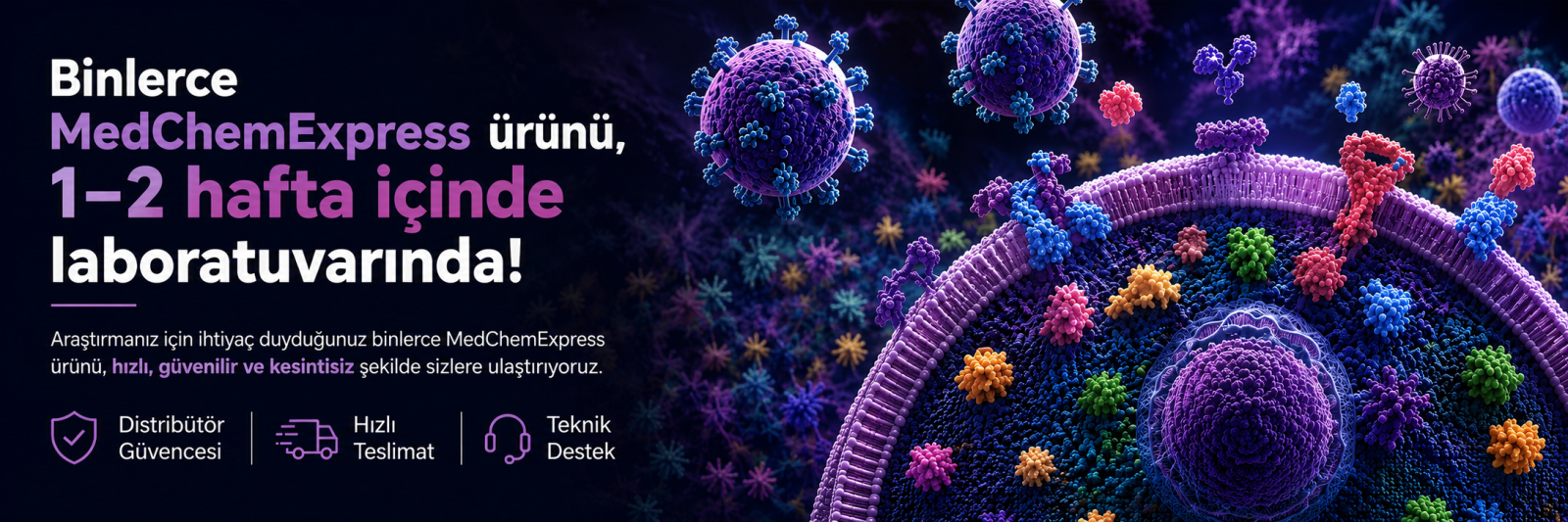 MedChemExpress, MCE, MedChemExpress Türkiye, MCE Türkiye, MedChemExpress ürünleri, MCE ürünleri, inhibitörler, agonistler, bioaktif bileşikler, araştırma kimyasalları, small molecules, screening libraries, compound screening, recombinant proteins, antikorlar, peptitler, PROTAC, araştırma kitleri, drug discovery, ilaç keşfi, moleküler biyoloji ürünleri, hücre biyolojisi ürünleri