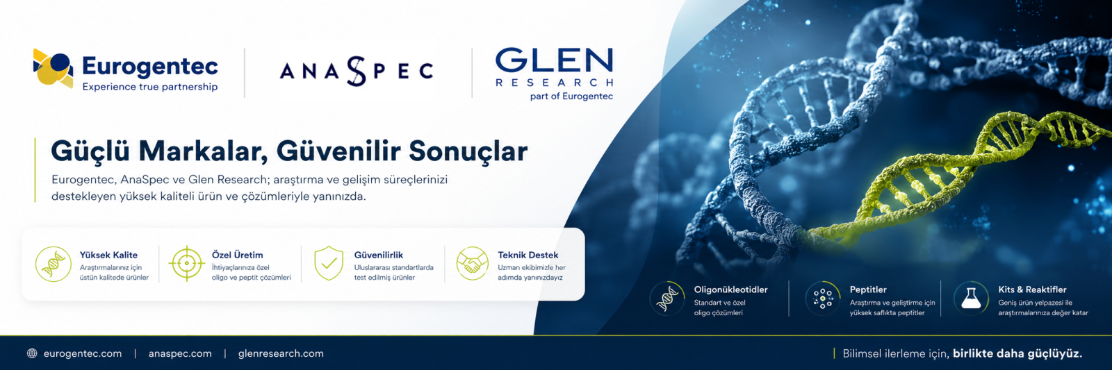 AnaSpec, AnaSpec Türkiye, AnaSpec ürünleri, peptitler, peptit sentezi, peptit sentez ürünleri, floresan boyalar, floresan işaretleme ürünleri, analiz kitleri, araştırma kitleri, enzim aktivite kitleri, protein analiz kitleri, rekombinant proteinler, rekombinant enzimler, amino asitler, protein işaretleme, ELISA kitleri, biyolojik aktif peptitler, proteomik ürünleri, araştırma peptitleri, AnaSpec ürünleri Türkiye peptit sentezi özel peptit sentezi floresan boyalar floresan işaretleme enzim aktivite kitleri protein analiz kitleri rekombinant proteinler rekombinant enzimler ELISA kitleri proteomik ürünleri araştırma peptitleri biyolojik aktif peptitler protein işaretleme ürünleri
